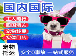 兴凯湖机场物流国际宠物托运 【国